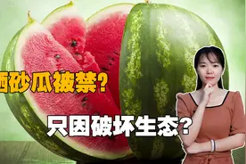 硒砂西瓜被禁，我们再也吃不到了，背后原因解析