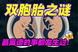 双胞胎身上发生过什么离谱巧合!谁更容易生双胎?视频封面