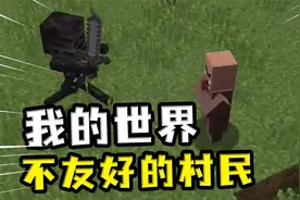 我的世界：不友好的村民，连凋零骷髅都要打，攻击性非常强