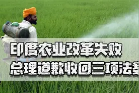 印度农业改革失败，总理道歉收回法案，耕地多产出咋不到我国一半视频封面