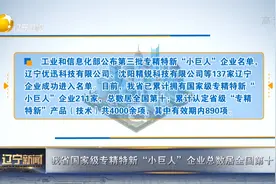辽宁省国家级专精特新“小巨人”企业总数居全国第十视频封面