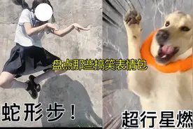盘点那些搞笑表情包，看完你就知道你闺蜜为啥单身了赶紧艾特她！视频封面