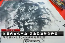 苏氏创新(北京)文化传媒有限公司视频封面