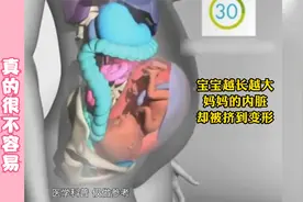 宝宝越长越大，妈妈的内脏却被挤到变形，怀孕生孩子真的不容易！