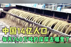中国人每天产生240万吨屎尿，都排在了哪里？真的循环回家了吗视频封面