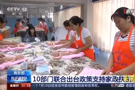 商务部：解决就业，10部门联合出台政策支持家政扶贫|央视网视频封面