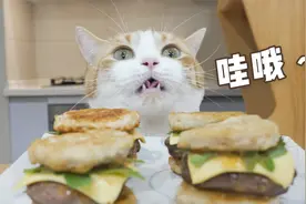啥家庭啊？给猫吃这么大的汉堡！高能吃货猫归来视频封面