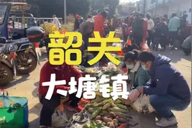 韶关大塘镇赶集，说说你们多久没有赶集了视频封面