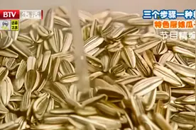 三个步骤一种料，教你巧做厨娘瓜子，赶快动手学起来|生活特供视频封面