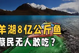 西藏羊卓雍措里的鱼多达16亿斤，随手就能捞到，却为何无人敢吃？视频封面