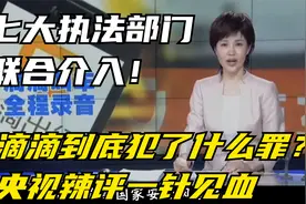 七大执法部门联合介入！滴滴到底犯了什么罪？视频封面