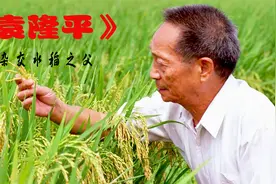 他用一粒种子改变世界,毕生的梦想,是让所有人能吃饱饭-袁爷爷视频封面