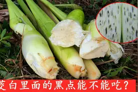 茭白里面的“小黑点”是什么？到底能不能吃？看完视频终于明白了视频封面