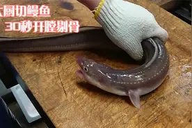 大厨切鳗鱼，竟被反咬一口，大厨一生气，30秒开膛剔骨，真解气视频封面