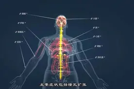 【肾上腺素】当人经历某些刺激后，肾上腺素会有什么样反应？视频封面