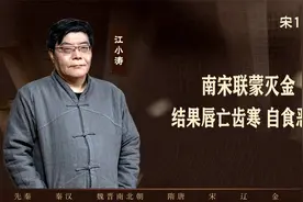 【江小涛】南宋联蒙灭金，结果唇亡齿寒、自食恶果视频封面