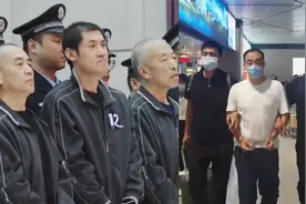 揭秘东北“杨氏家族”黑恶势力：欺压百姓勾结主官 抓捕现场曝光视频封面