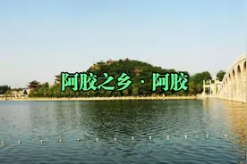 第64集|山东东阿，盛产阿胶，如何挑选正宗的阿胶？视频封面