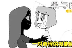 一对奇怪的双胞胎，一黑一白好怪异，寓意动画《黑与白》视频封面
