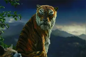 奇幻森林姐妹篇——《森林之子毛克利》，丛林小男孩的成长故事视频封面