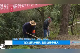 遵义：自发组织护林队，老当益壮守林人，为他们点赞！视频封面