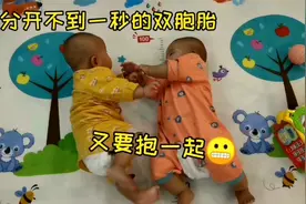 双胞胎的搞笑日常，兄弟俩抱一起就互相抓、挠、啃，拉都拉不开视频封面