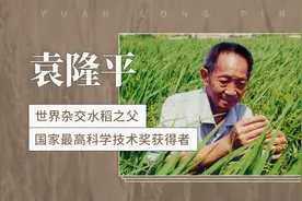 袁隆平-世界杂交水稻之父，国家最高科学技术奖获得者视频封面