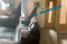 嗨 你去哪了？狗狗看到去世“朋友”的画像 接下来的反应让人心疼视频封面
