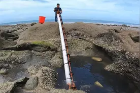 全网最独特的抽水坑方式！阿阳夫妻盘深坑抓海鲜，这收获值得吗？视频封面