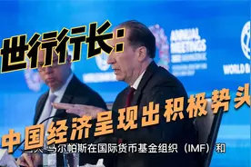 世行行长：中国经济呈现出积极势头，为全球增长注入有益增量视频封面
