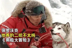 真实事件改编的电影，哈士奇听从主人的命令，用绳子救了落水的人视频封面