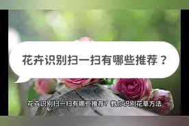 花卉识别扫一扫有哪些推荐？教你识别花草方法视频封面