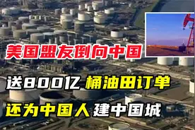 又送石油，又建“中国城”，为巴林点赞视频封面