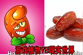 植物大战僵尸：游戏植物VS现实世界！搞笑对比第六期视频封面