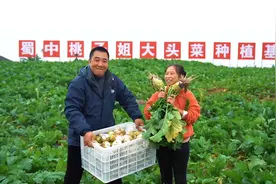 大头菜不仅是餐桌上的一道下饭菜，也承载了我们的儿时回忆视频封面