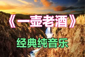 《一壶老酒》深情演绎的经典纯音乐，笑看人生苦与愁。视频封面