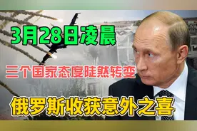 俄罗斯收获意外之喜，3月28日凌晨，三个国家态度陡然转变视频封面