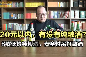 20元以内有没有纯粮酒？8款超低价纯粮酒，安全性吊打小作坊散酒视频封面