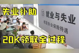 谁都能领万元失业补助金？领取流程详情图解！别再去排队了！视频封面