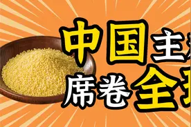 【东南大学李昕升】中国主粮如何席卷世界？黍真的是指玉米吗？视频封面