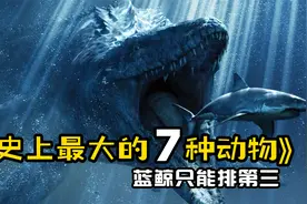 史上最大的7种动物！蓝鲸只能排第三！视频封面