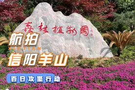 视频：信阳市羊山新区中心城区城市提质工程 百日攻坚行动视频封面