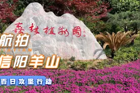 视频：信阳市羊山新区中心城区城市提质工程 百日攻坚行动视频封面