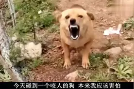 搞笑视频：不吃不吃我就不吃不吃是吧。你吃不吃吃不吃不吃是吧视频封面