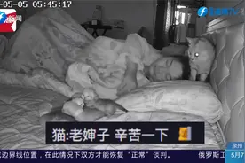 女子每晚睡觉胸口像压了大石头，一查监控哭笑不得：快起床带崽视频封面