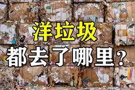 中国拒绝接收洋垃圾的几年，欧美洋垃圾都被运到哪里了？视频封面