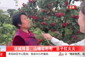 运城绛县：山楂红彤彤，日子红火火视频封面