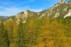 如果我想要，我就一定能。视频封面