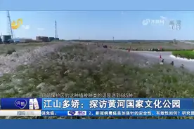江山多娇：探访黄河国家文化公园视频封面