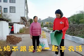 农村婆婆叫儿媳妇一起干农活，儿媳当场不愿意了，看婆媳如何相处视频封面